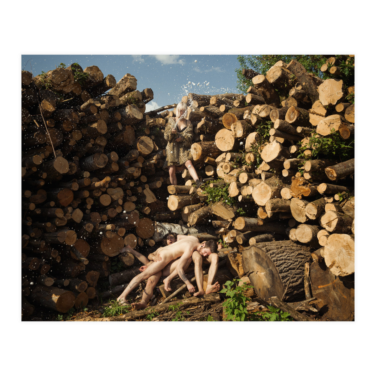 Champagne Deluxe (Print Only)