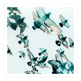 Rise (Print Only) thumbnail