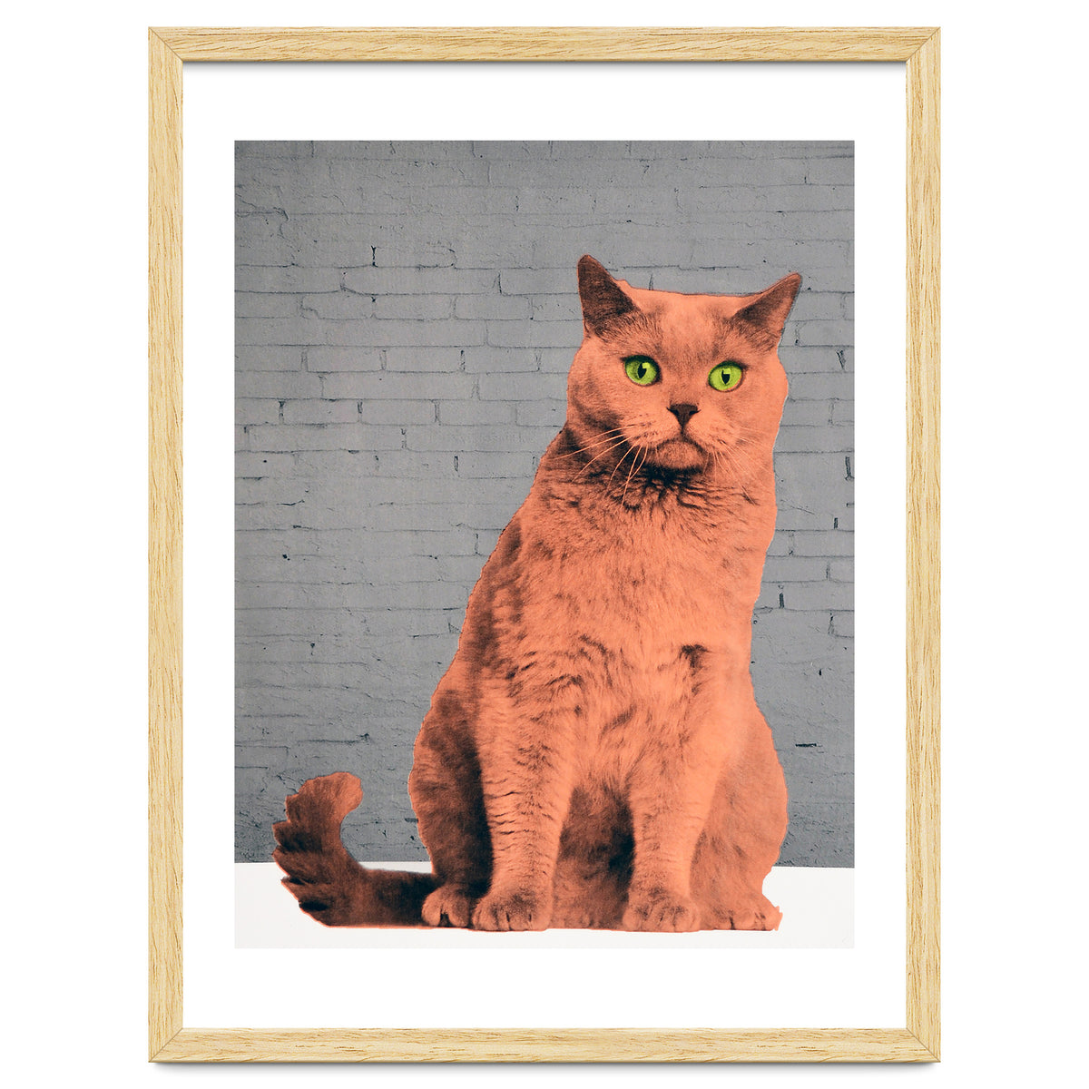 Everybody Wants To Be A Cat