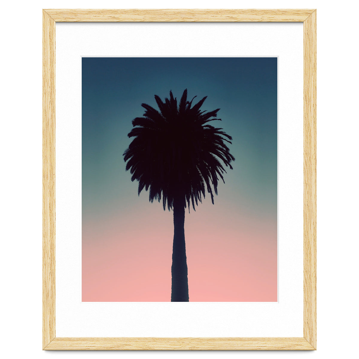 Sundown Palm