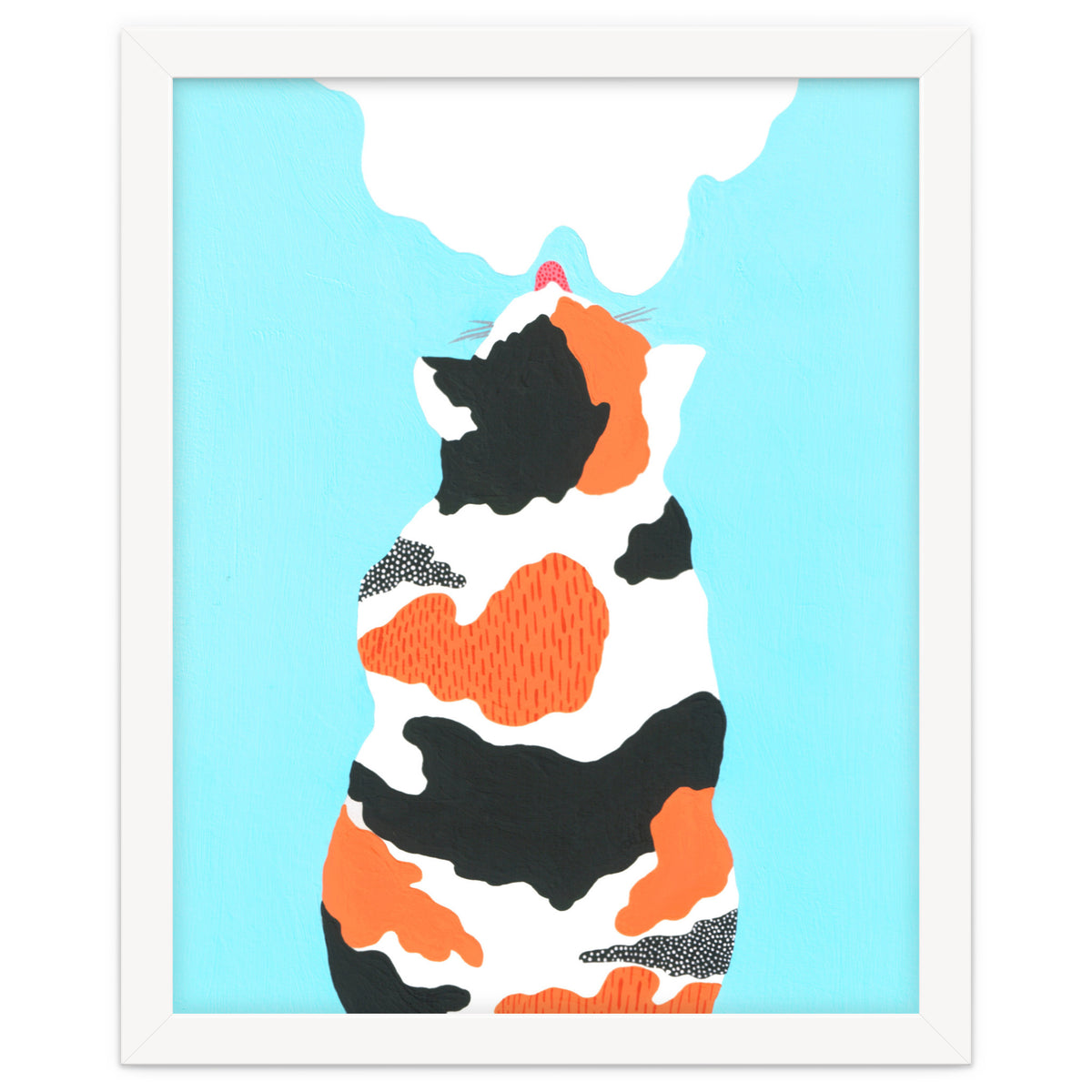 Tri Colored Calico Cat