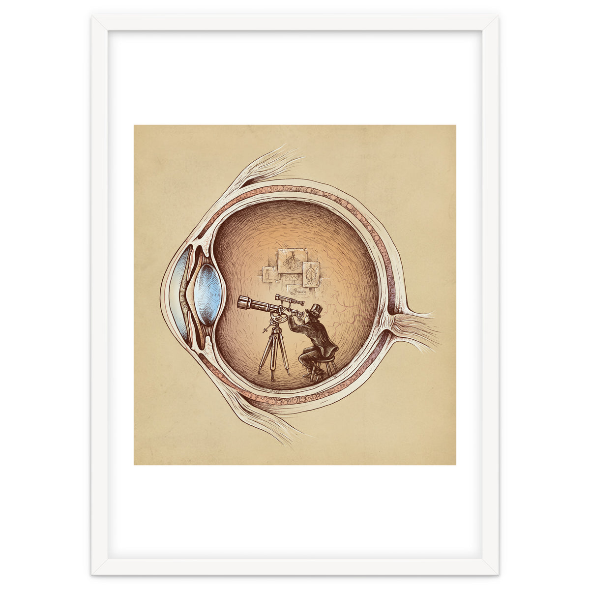 Extraordinary Observer