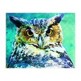 Great Horned Owl (Print Only) thumbnail