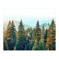 Pine Beauty (Print Only)