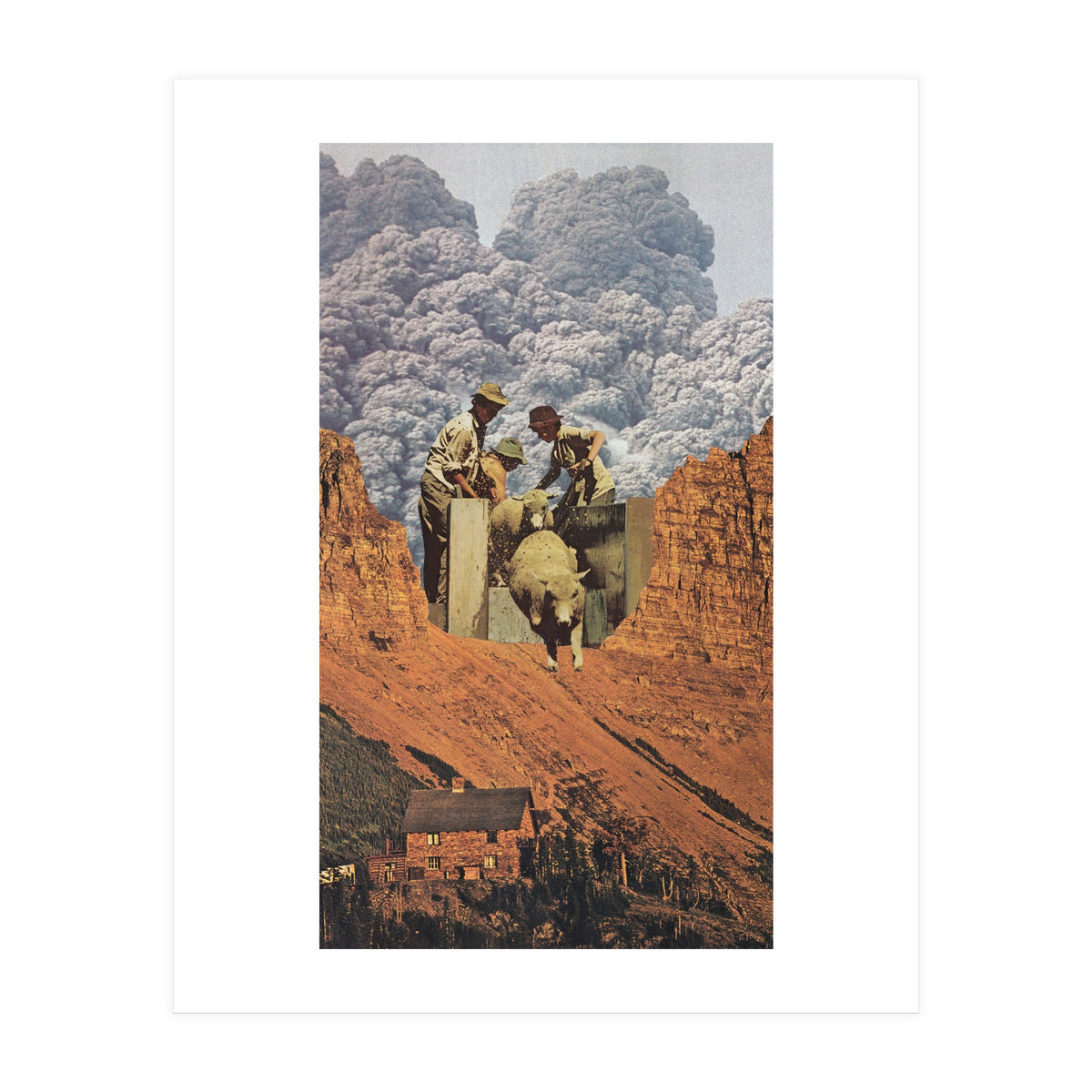 Dirty Sheep (Print Only)