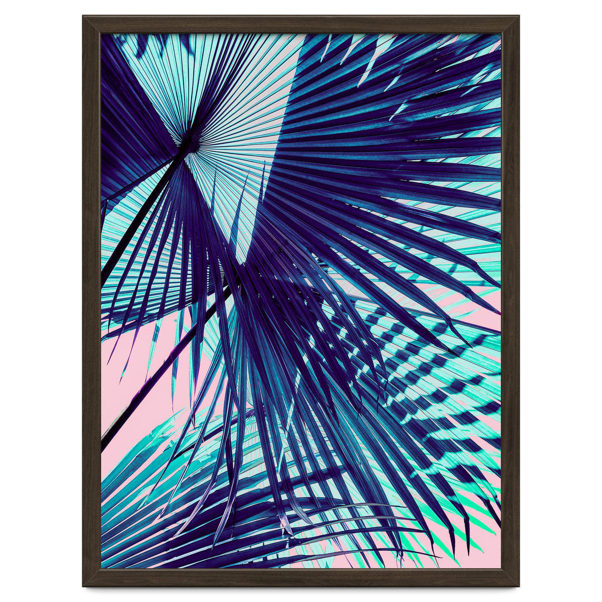 Palm leaf on the beach