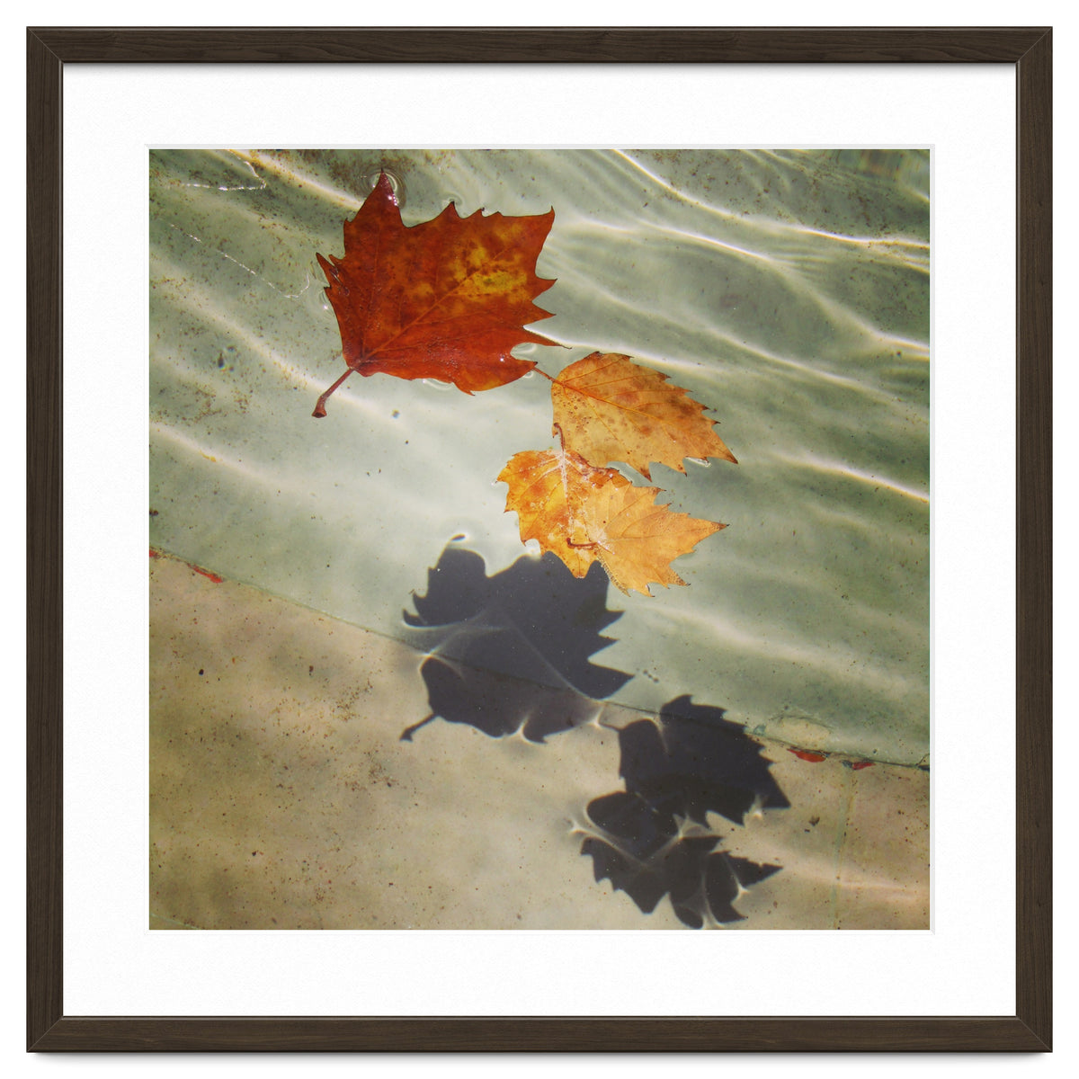Floating leaves