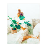 Me And Monstera (Print Only) thumbnail