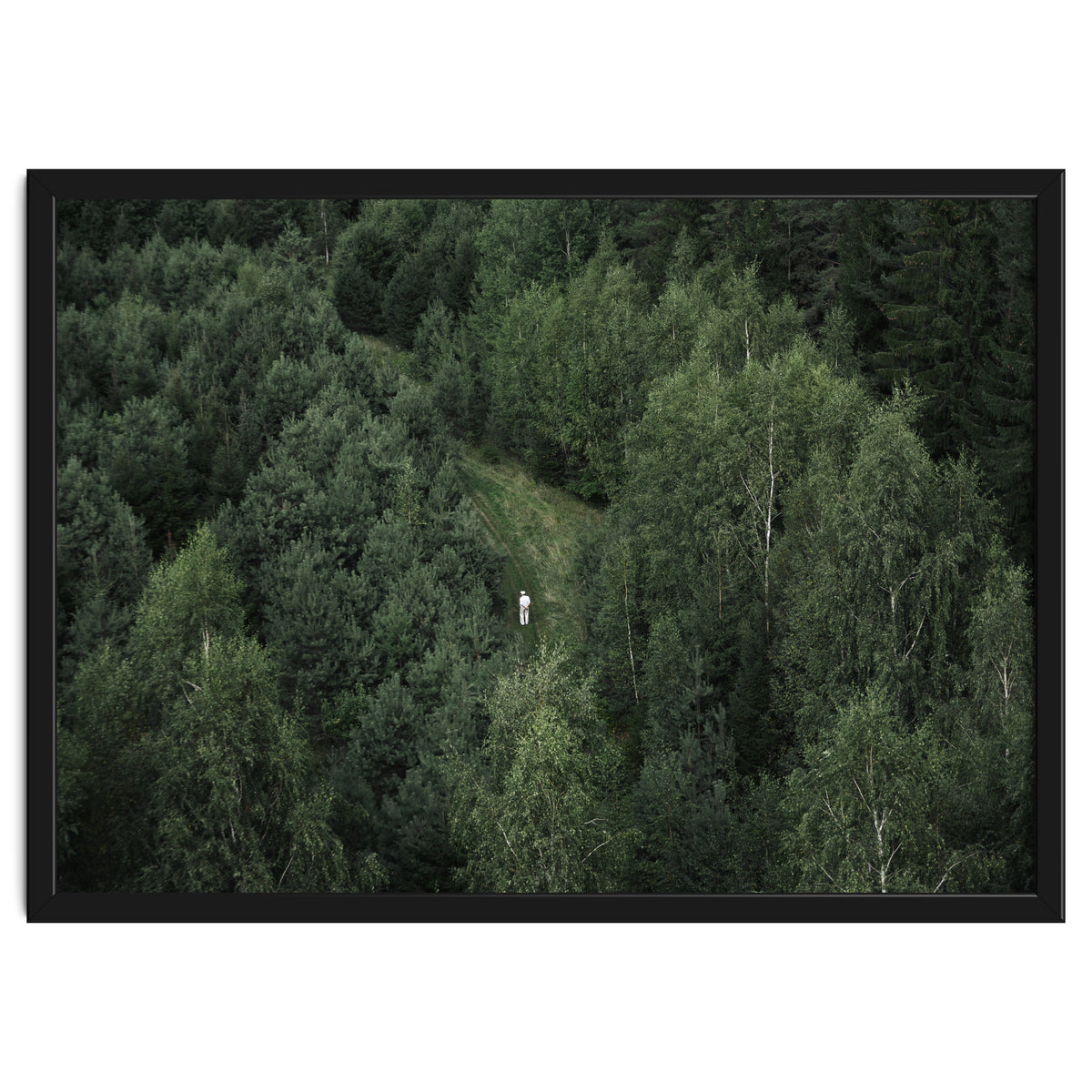 What's the Date Today?