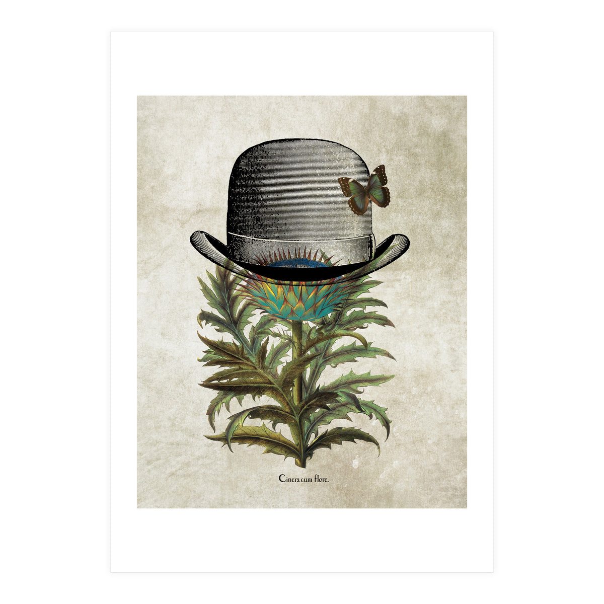 Bowler Print (Print Only)