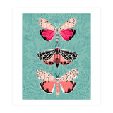 Lepidoptery Study No. 6 (Print Only) thumbnail