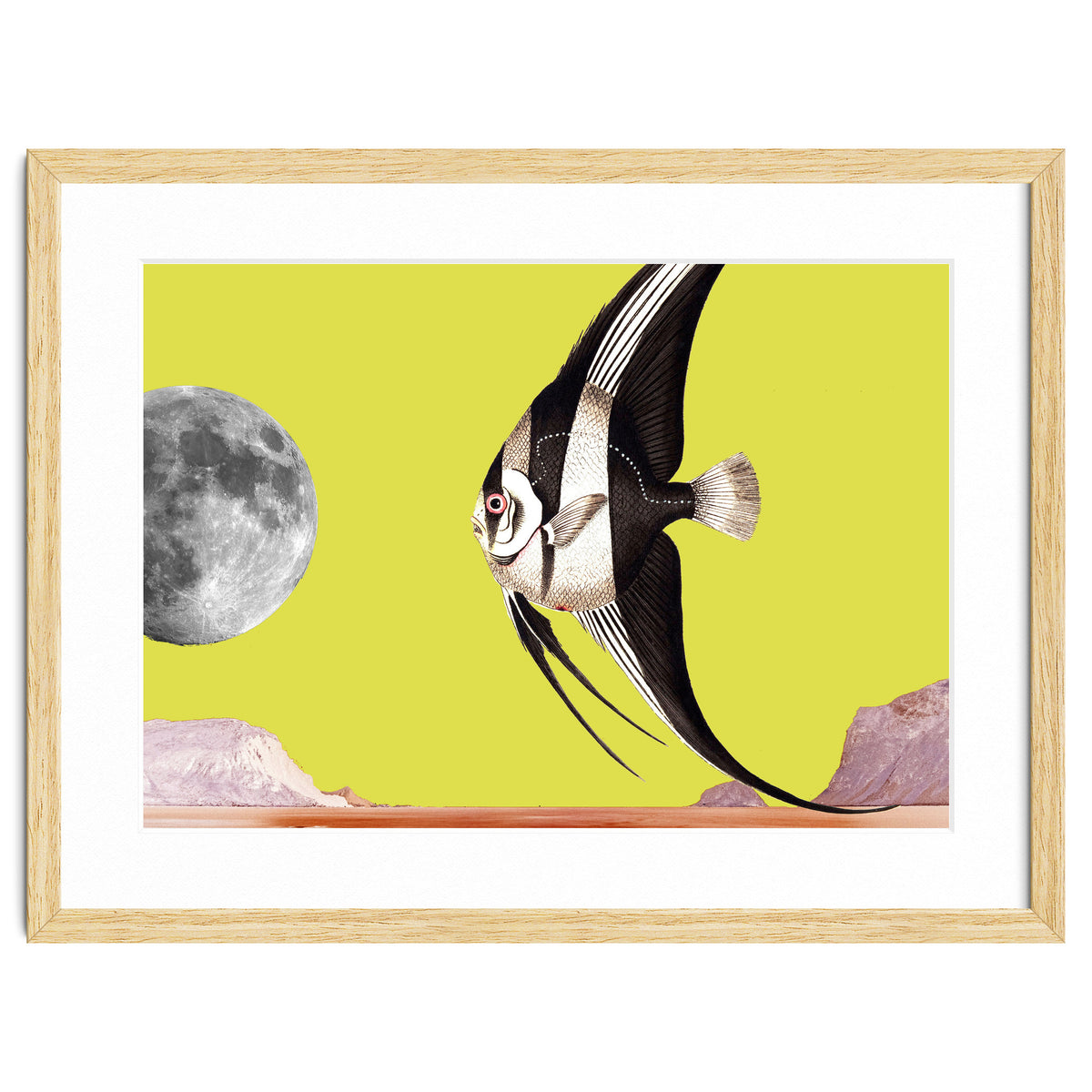 Plenty of fish in the sea yellow