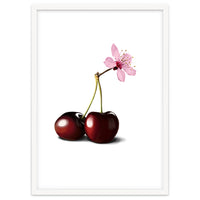Cherry Blossom