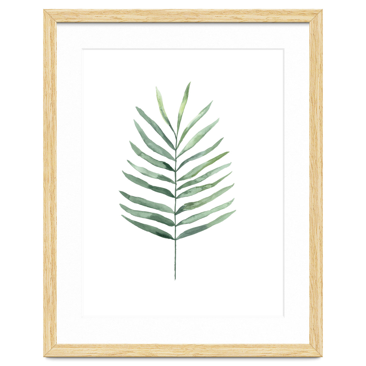 Botanical Illustration Fern