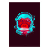Astronaut (Print Only) thumbnail