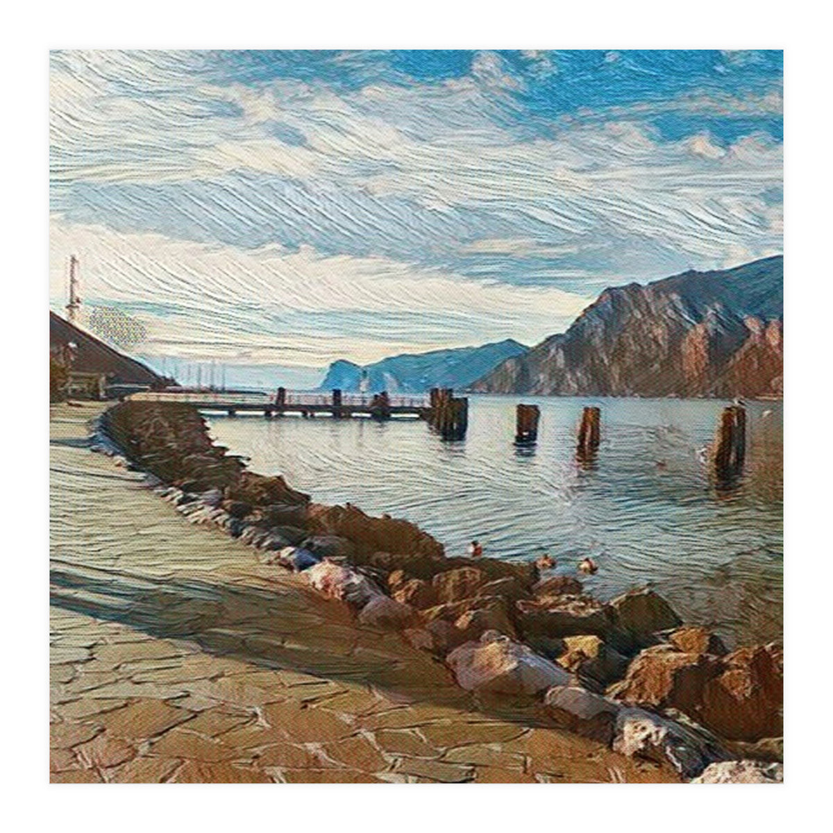 Ducks on Lake Garda, Italy. (Print Only)