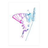 Swallowtail On Grass in Pinquoise (Print Only) thumbnail