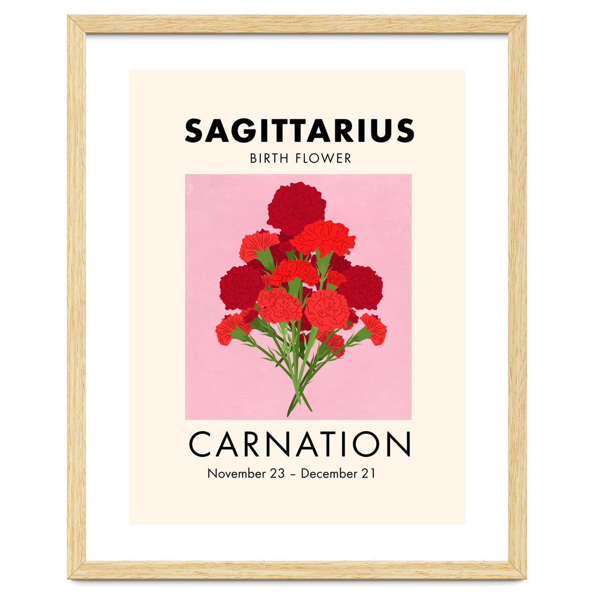 Sagittarius Birth Flower Carnation
