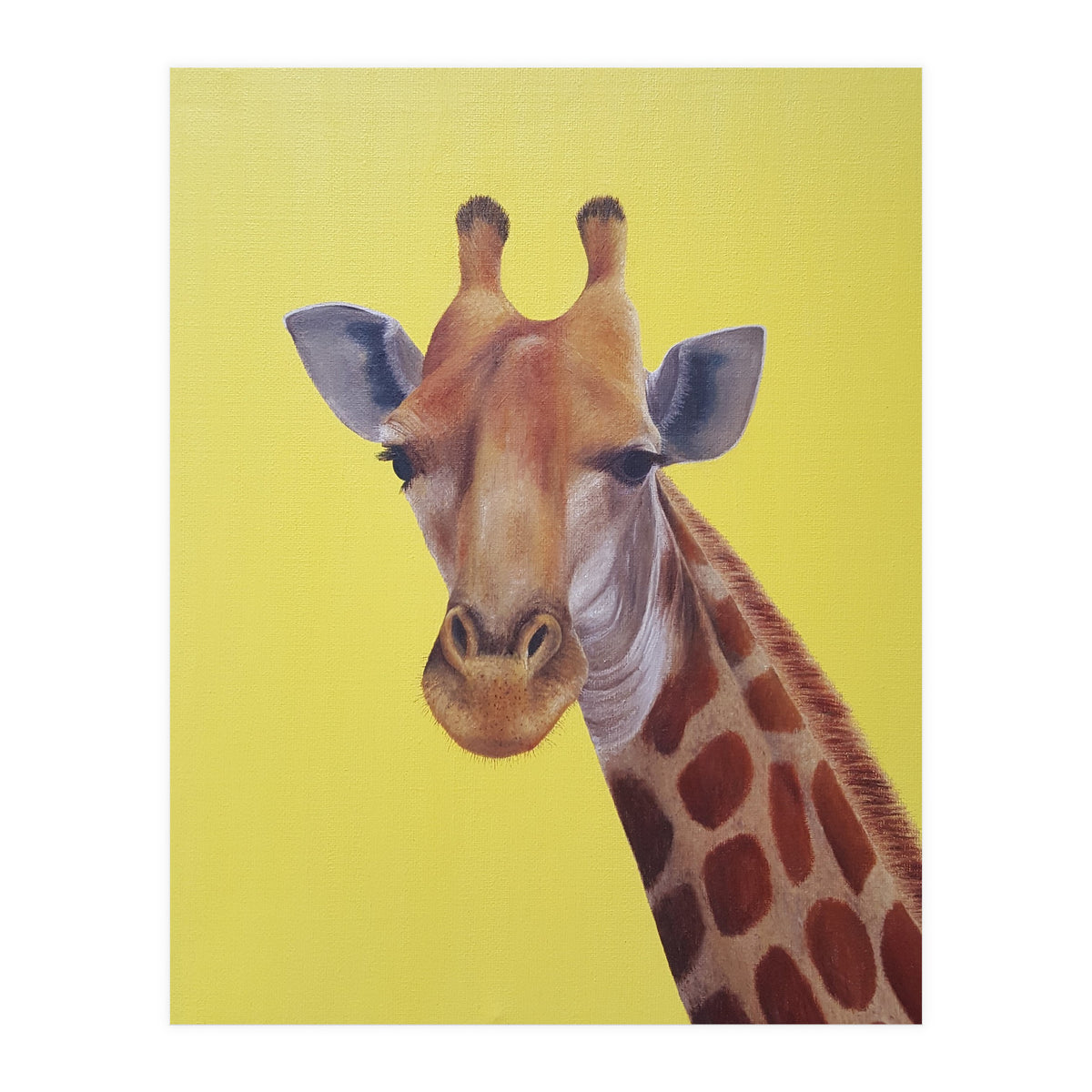 Giraffe (Print Only)
