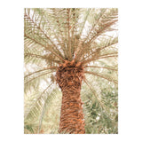 Tropical 2 (Print Only) thumbnail