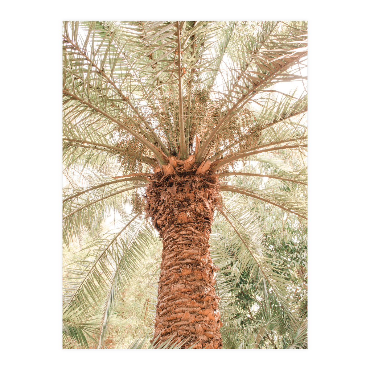 Tropical 2 (Print Only)