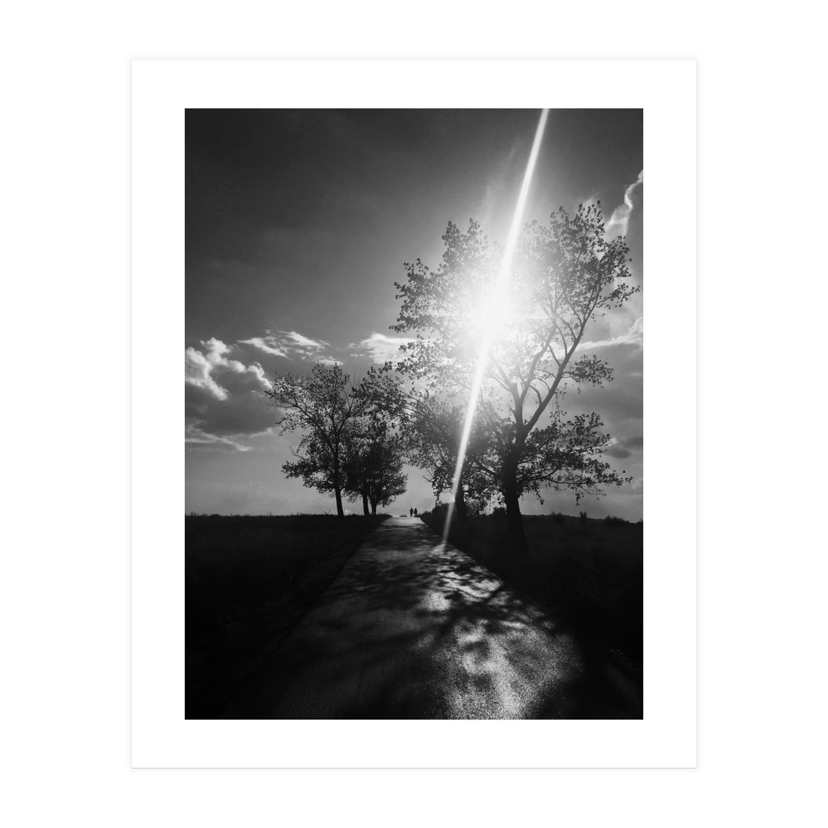 Walking on the shadows (Print Only)