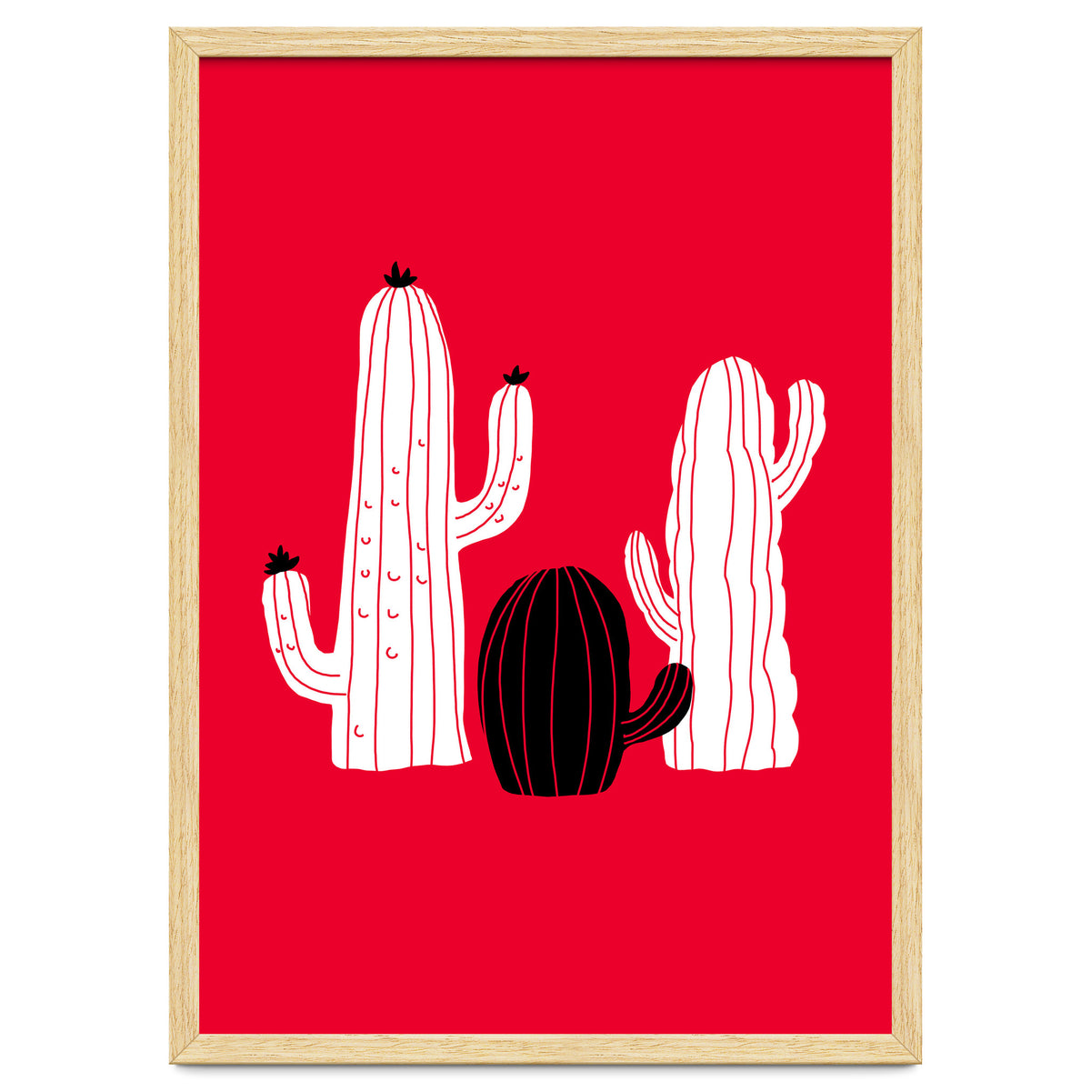 Cactus