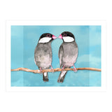 Two kissing Java sparrows (Print Only) thumbnail