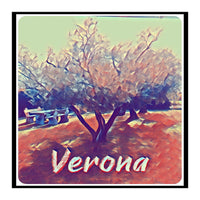 Olive Tree In Verona (Print Only)