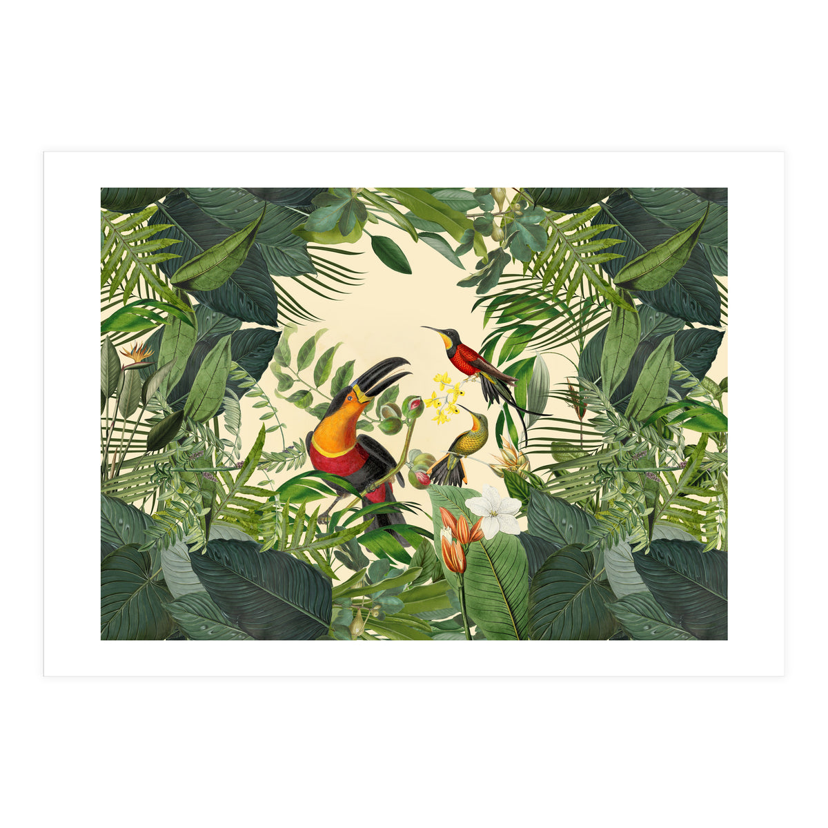 Green Jungle Toucans 2 (Print Only)