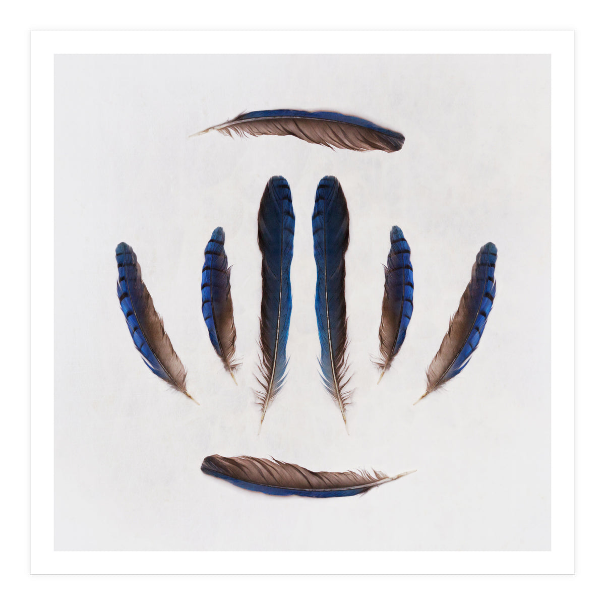 Forgive Me For Forgetting (Print Only)