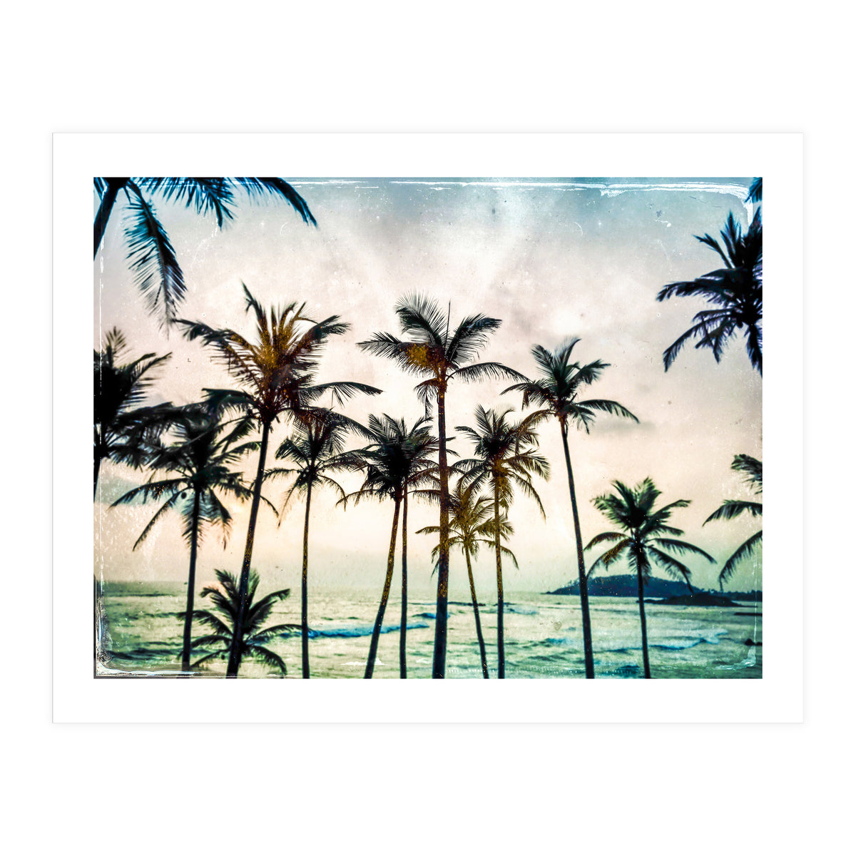 No Palm Trees (Print Only)