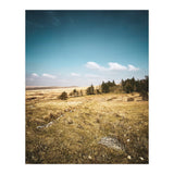 Dartmoor  (Print Only) thumbnail
