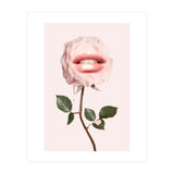 Glossy Rose (Print Only) thumbnail