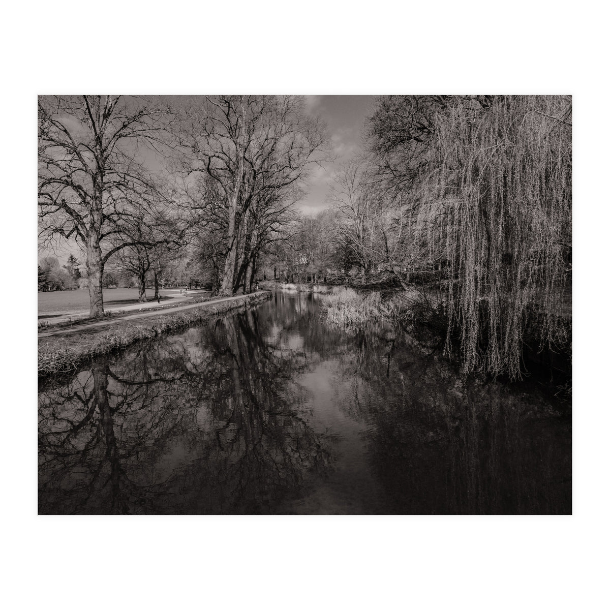 Bute Park, Cardiff  (Print Only)