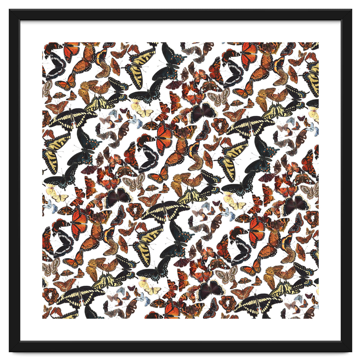 Maine Butterflies Pattern