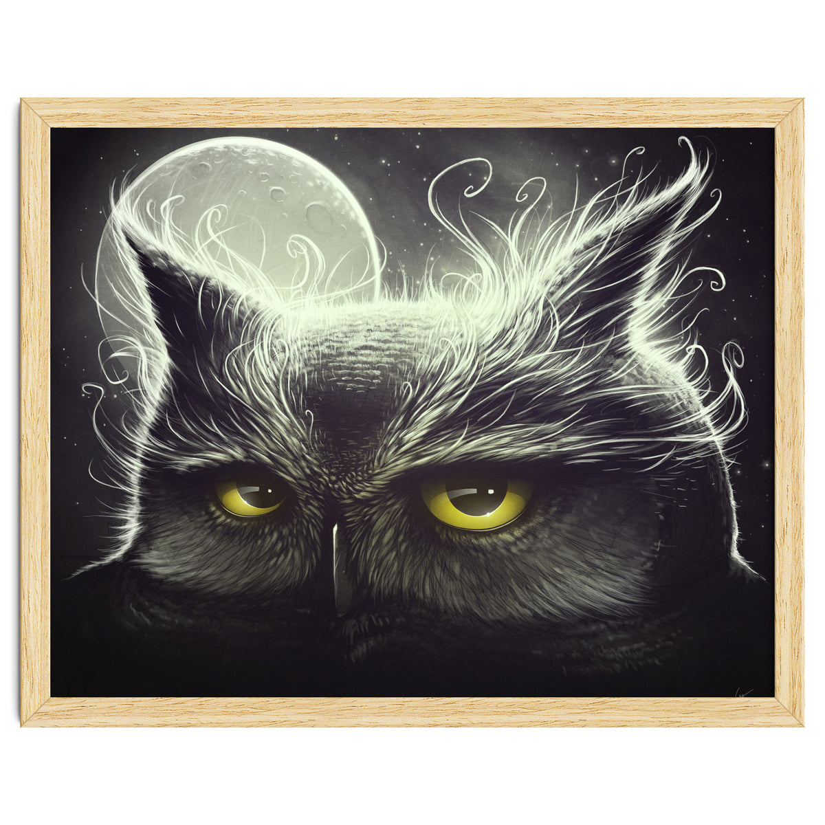 Owl And The Moon