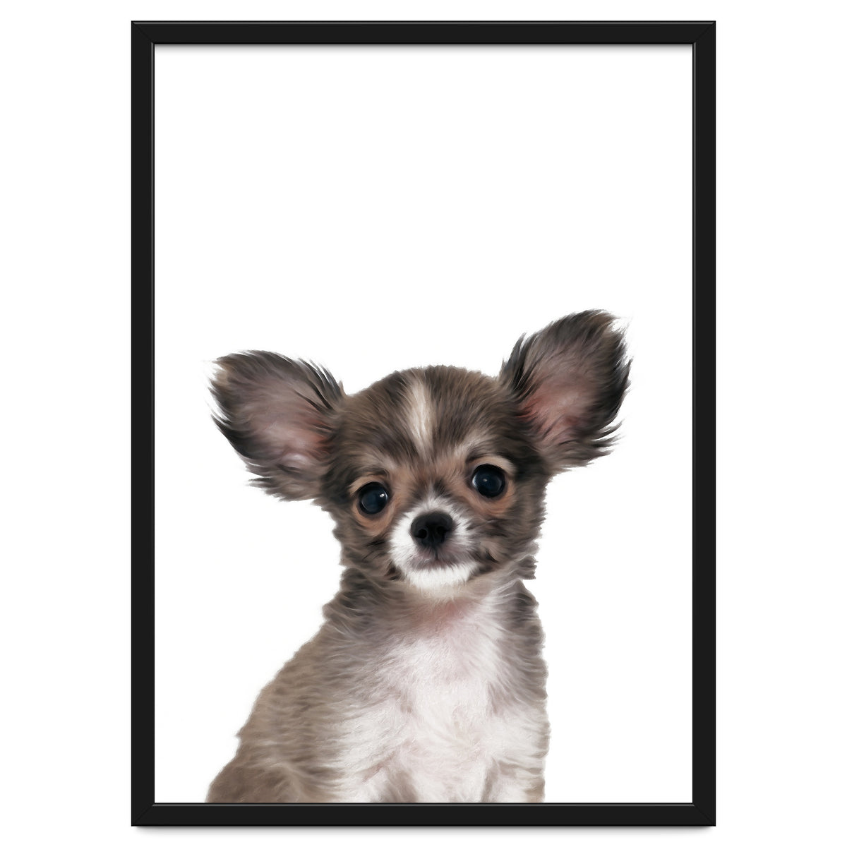 Chihuahua