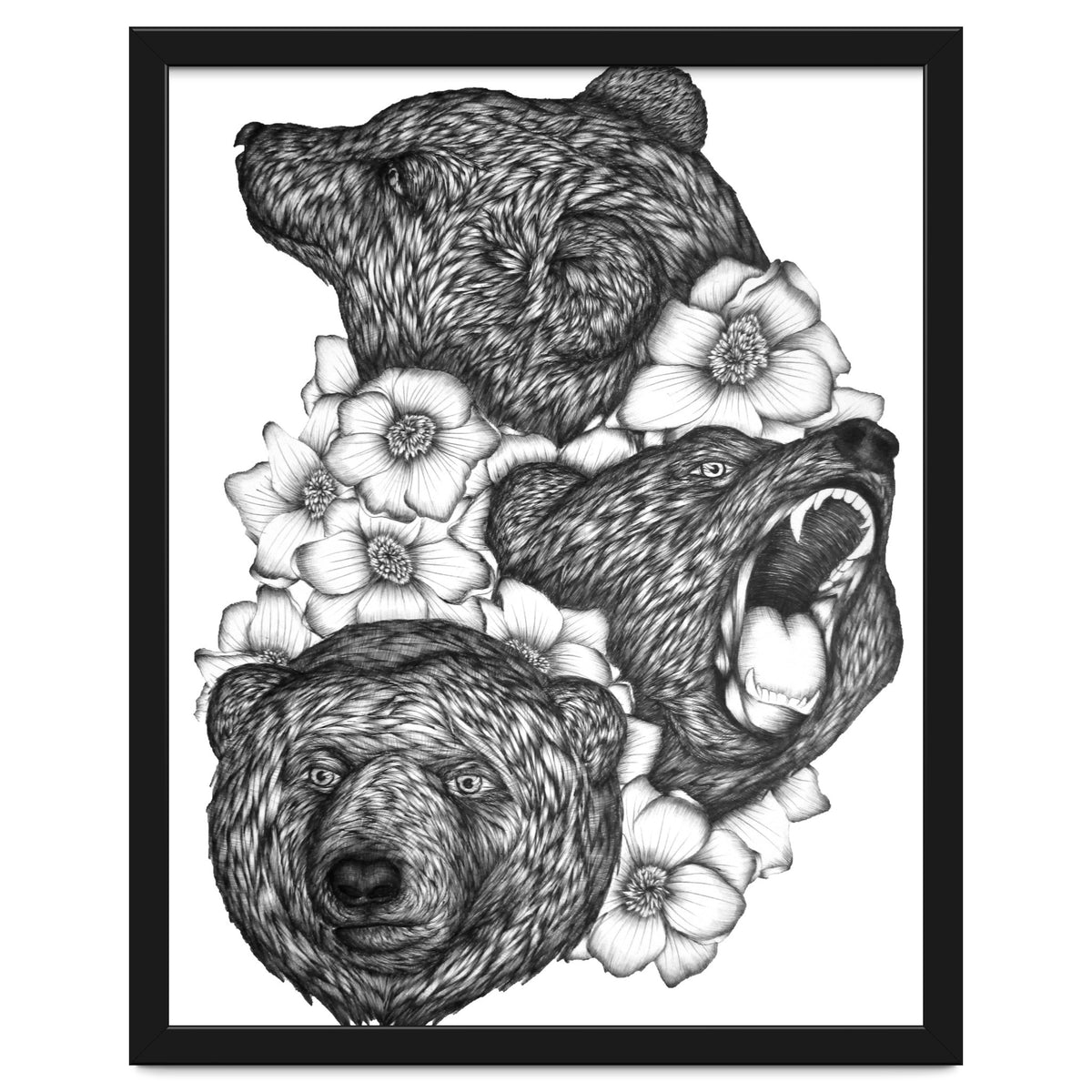 Bears In Bears