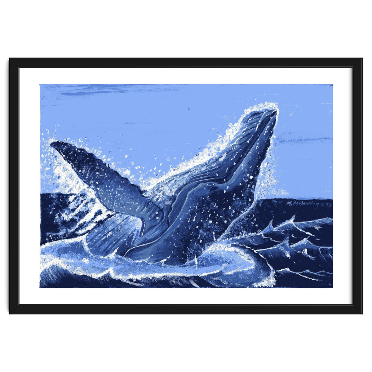 Humpback Whale Breaching