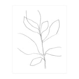 Seven Leaf Plant (Print Only) thumbnail