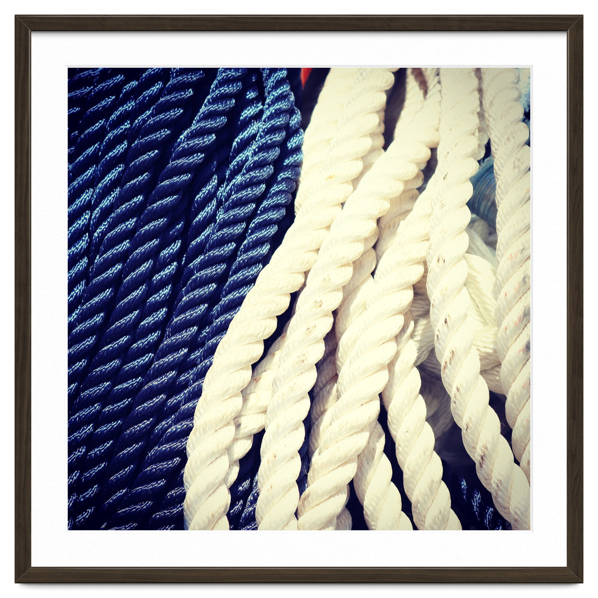 Blue and white fishing rope