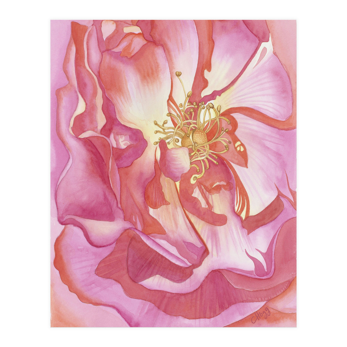 Love Is A Rose (Print Only)