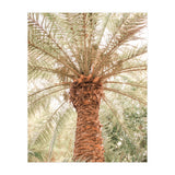 Tropical 2 (Print Only) thumbnail