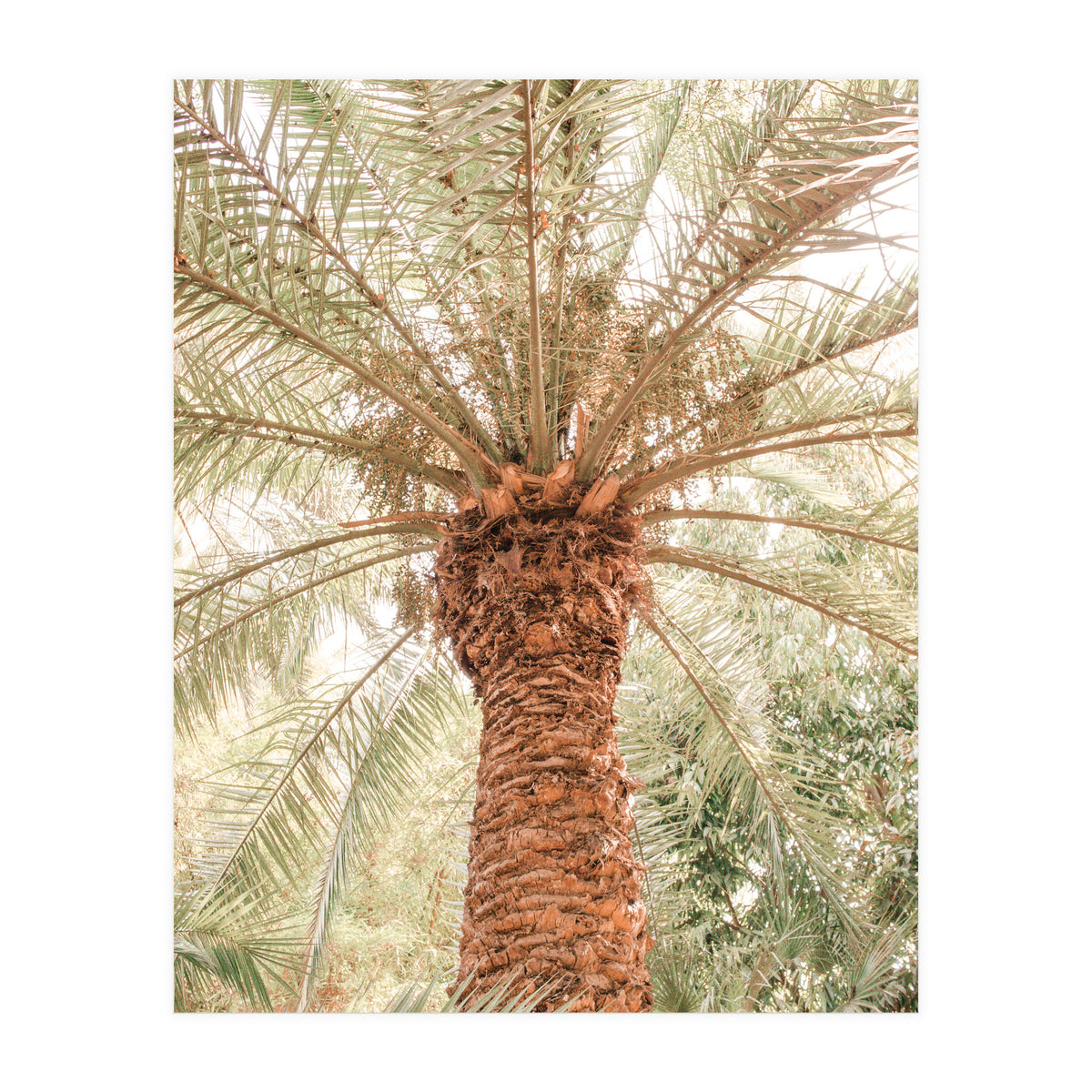 Tropical 2 (Print Only)