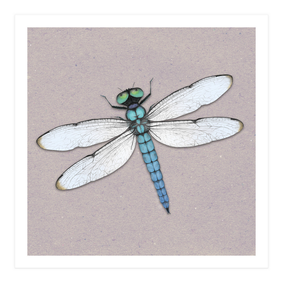 Blue dragonfly (Print Only)