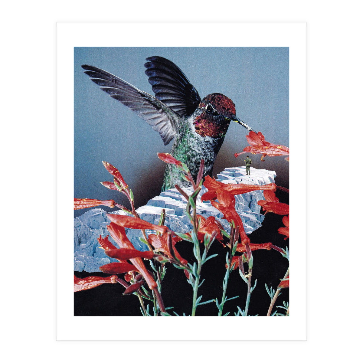 Bird Trainer (Print Only)