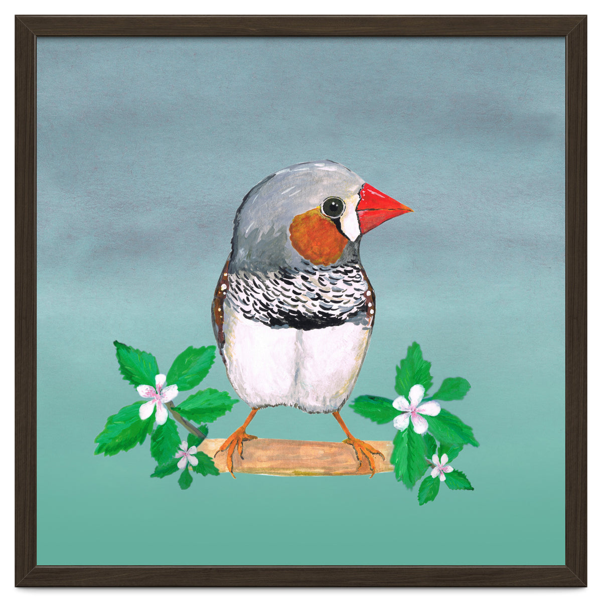 Zebra finch