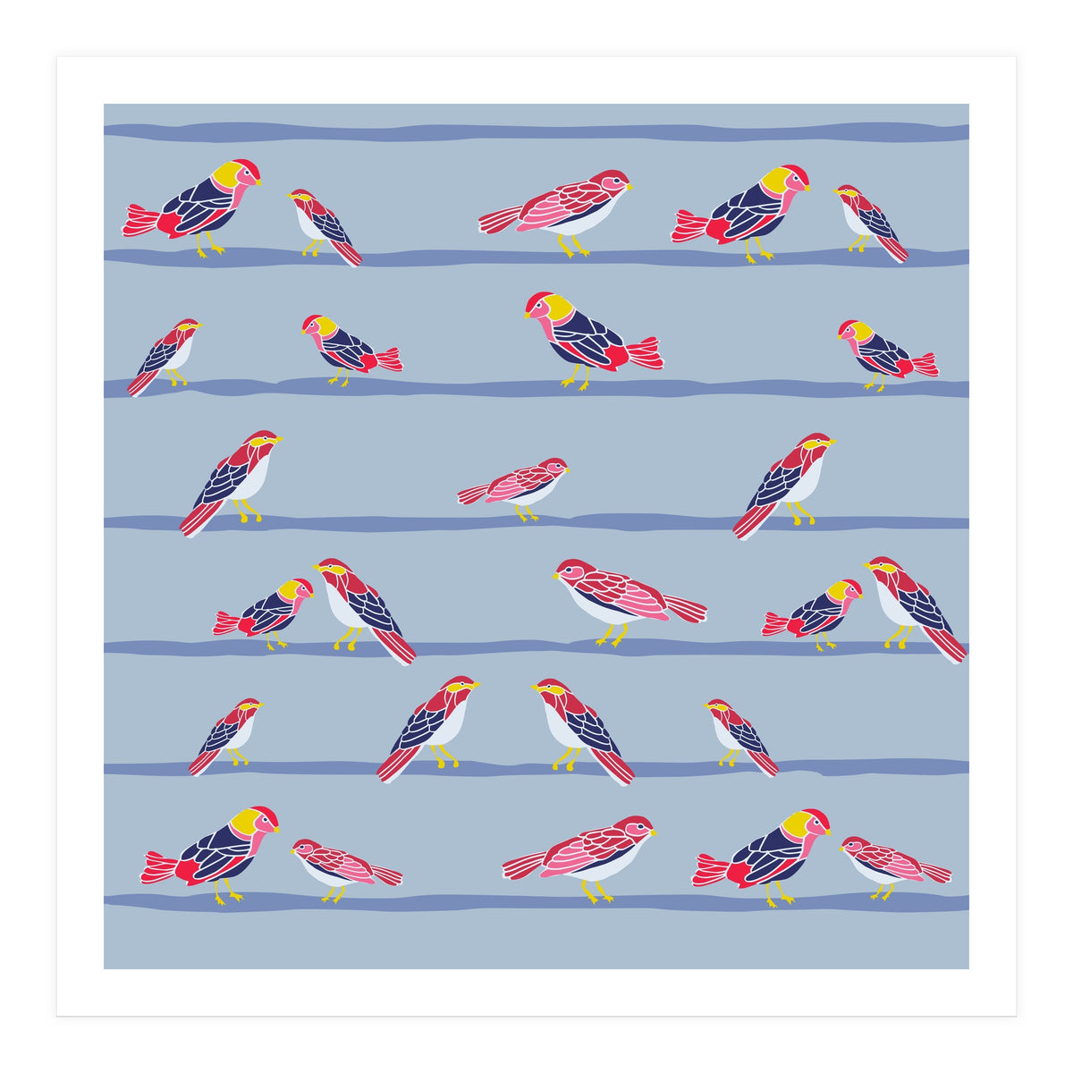 Colorful birds on a wire pattern (Print Only)