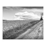 Lonely tree (Print Only) thumbnail